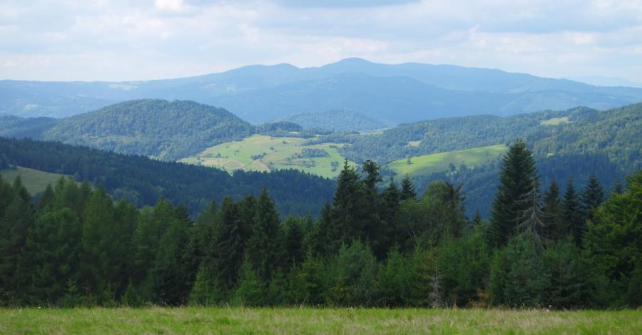 Beskid Sądecki ; Wierchomla -Runek - zdjęcie
