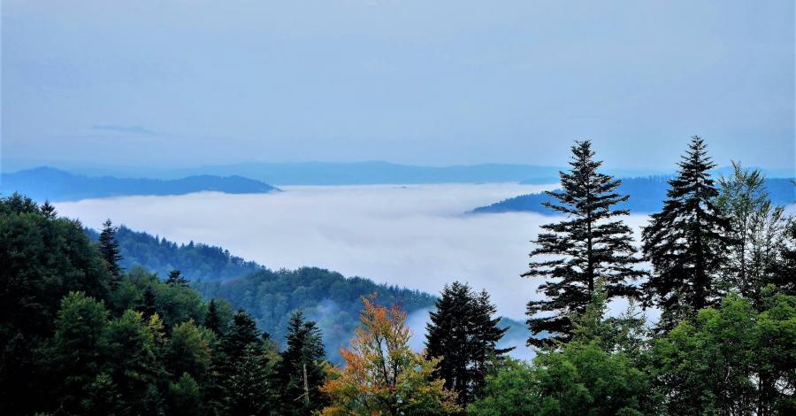 Beskid Sądecki ; Bacówka pod Bereśnikiem - Koziarz -Łącko - zdjęcie