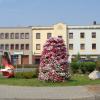 Plac Biskupa Wilhelma Pluty, Danusia