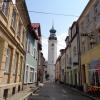 Sulechów, Danusia
