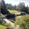 Park im. M i L. kaczyńskich, na zboczu Kamiennej Góry ta i kolejna fota, mokunka