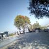 , mokunka