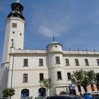 Ratusz, Danusia