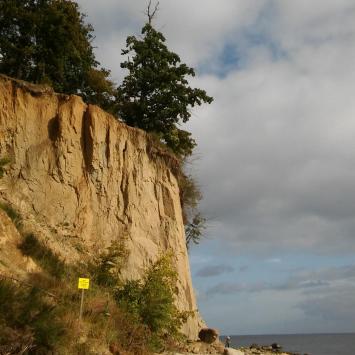 , mokunka