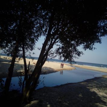 , mokunka