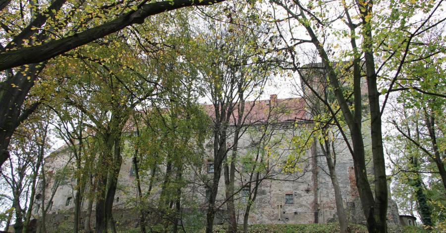 Otmuchów - Zamek - zdjęcie