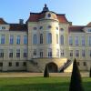 Pałac w Rogalinie, Danusia