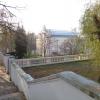 Pałac w Rogalinie,park, Danusia