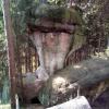 , Marcin M