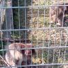 , Marcin M