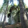 , Marcin M