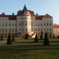 Pałac w Rogalinie, Danusia