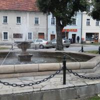 fontanna na rynku, mokunka