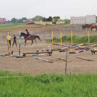 Stajnia Ferdyn