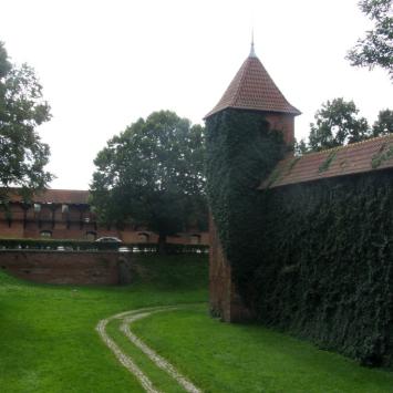 fosa, Joanna