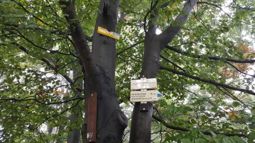 Stożek szczyt, EmiZtg