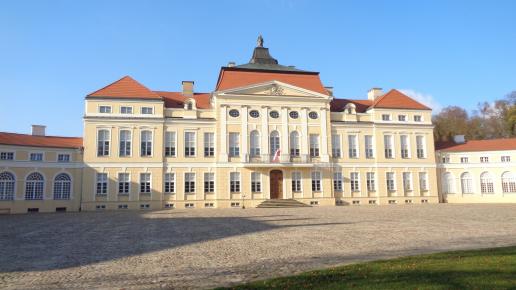 Pałac w Rogalinie, Danusia