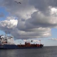 Gdynia, Joanna