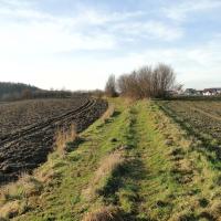 i już prawie w domu..., toja1358