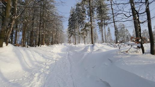 Szlak z Białego Krzyża, EmiZtg