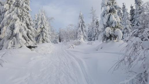 Pod szczytem, EmiZtg