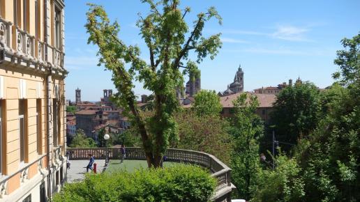 Citta Alta, allie