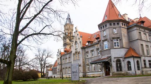 Pałac w Nakle Śląskim