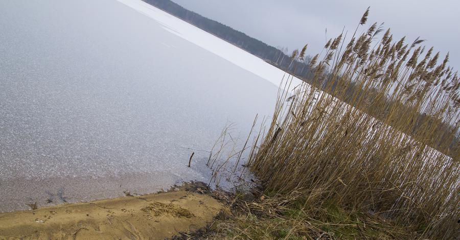 Prawie samotny spacer przez las nad Jezioro Nakło Chechło - zdjęcie