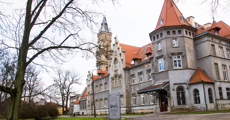 Pałac w Nakle Śląskim i otaczający park - zdjęcie