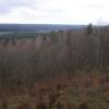 widok z wieży, Joanna