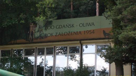 , mirosław