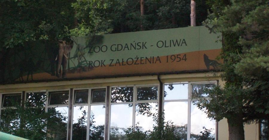 gdańsk oliwa w jeden dzień - zdjęcie