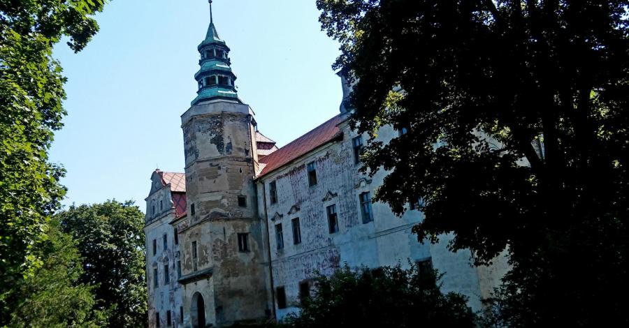 Niemodlin w czerwcowy słoneczny dzień - zdjęcie