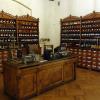 Muzeum Farmacji, allie
