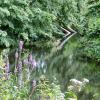 Arkadia, Marcin_Henioo