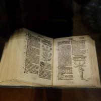 Muzeum Farmacji, allie