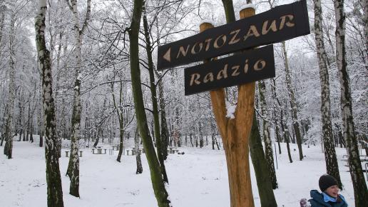 Księża Góra w Radzionkowie