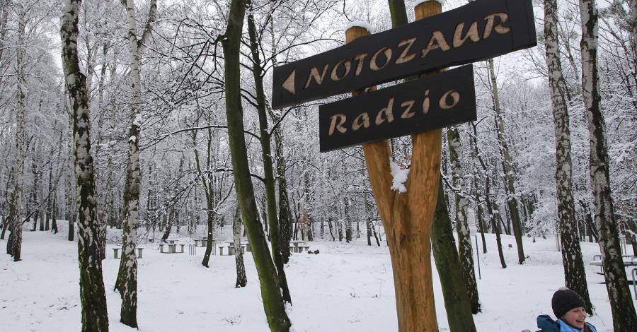 Księża Góra w Radzionkowie zimowo - zdjęcie