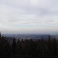, ANDRZEJ