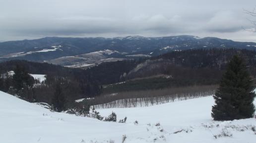 Widok na Beskid Sądecki, Mariusz Wiśniewski