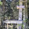 drogowskaz do schroniska, Katarzyna Jamrozik