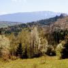 widok spod schroniska, Katarzyna Jamrozik