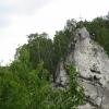 Kobylańska, EmiZtg