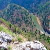 Dunajec z Sokolicy