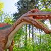Dinozatorland