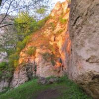 Birów i