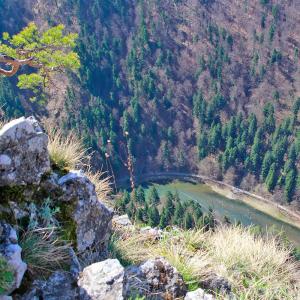 Pieniny