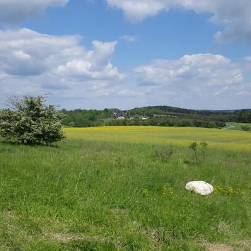 Rzędowa Skała, EmiZtg