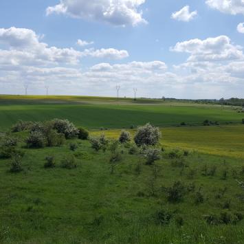 Rzędowa Skała, EmiZtg