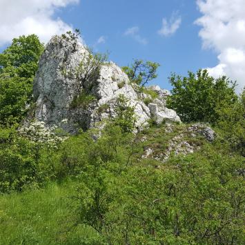 Rzędowa Skała, EmiZtg